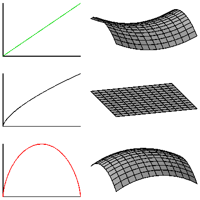 Parallel lines diverge.